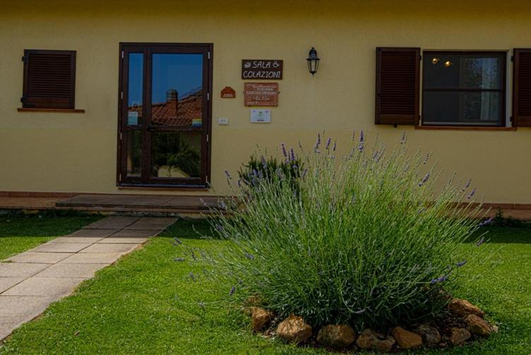 Agriturismo La Fata Grosseto Exterior photo